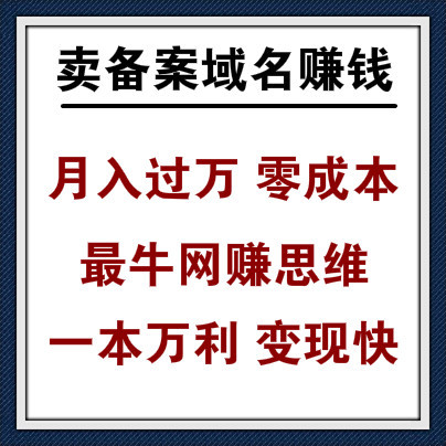 卖备案域名赚钱，月入过万零成本，最牛网赚思维一本万利！
